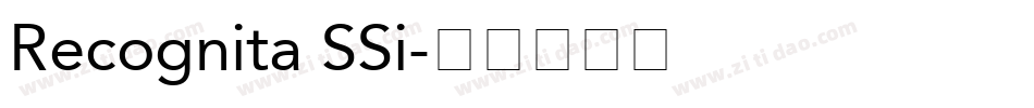 Recognita SSi字体转换